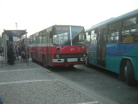 Buss