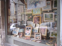 DSCN6231