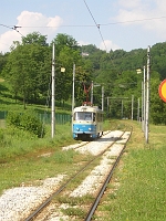 DSCN6246