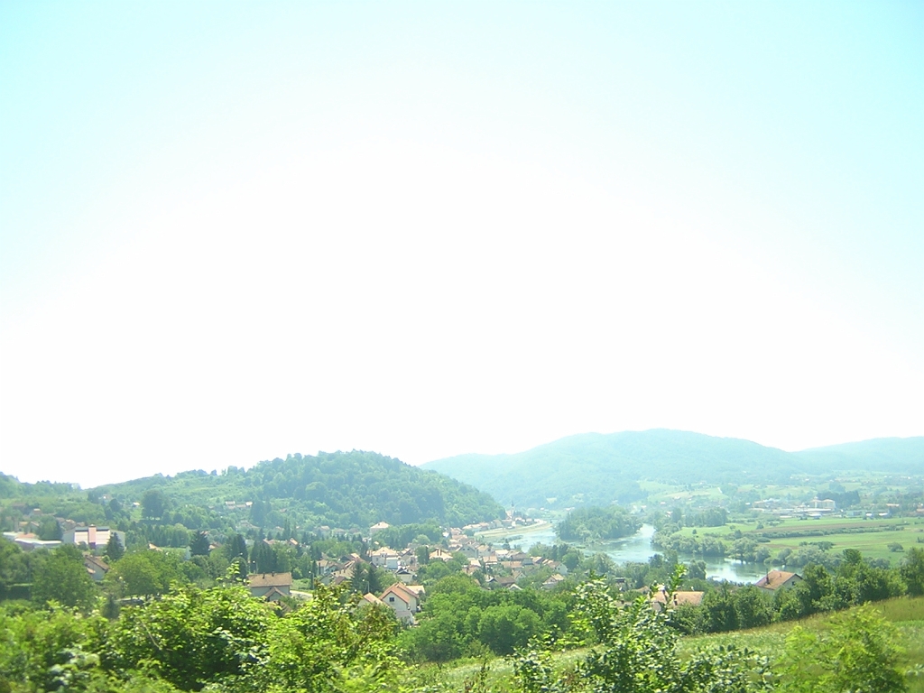DSCN6302