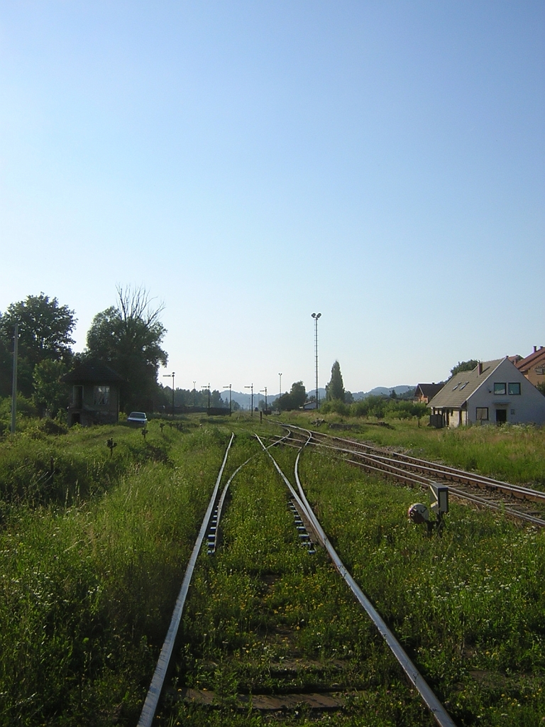 DSCN6439