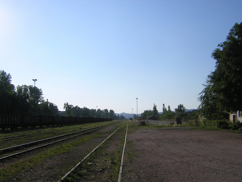 DSCN6442