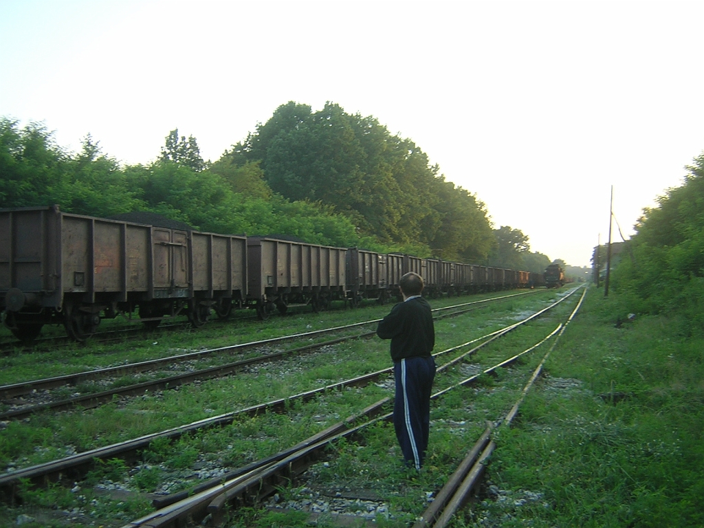 DSCN6465