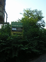 DSCN6443