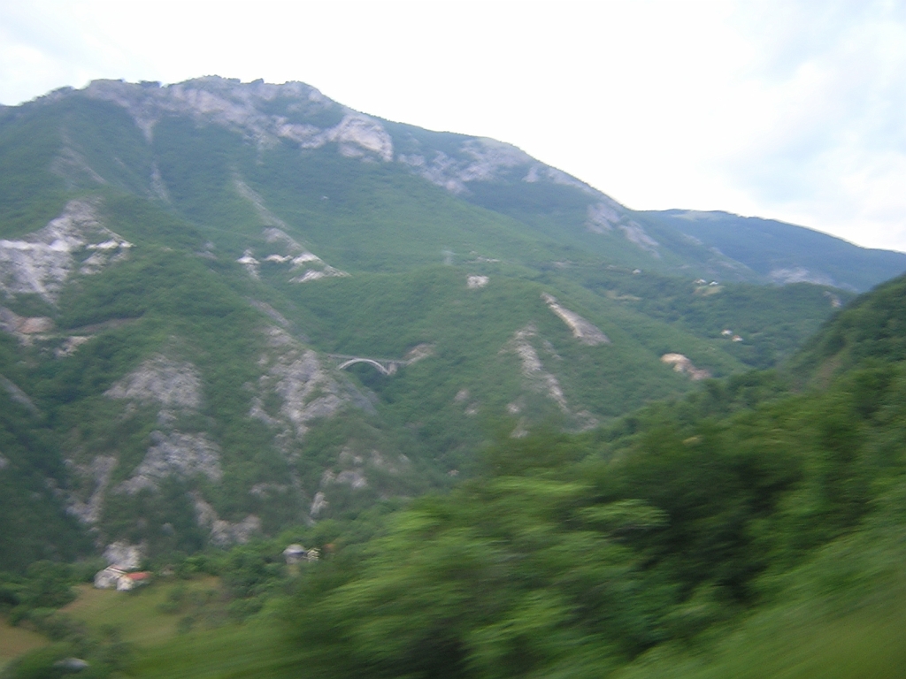 DSCN6691