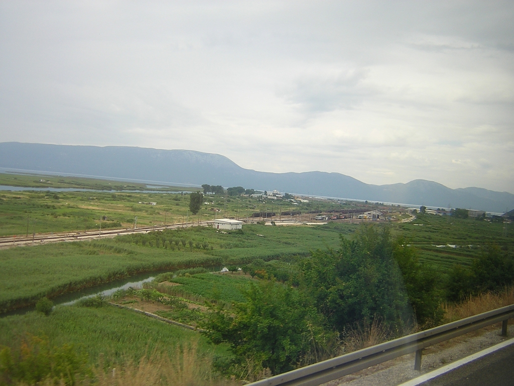 DSCN6740
