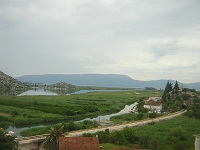 DSCN6737