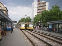 DSCN5587