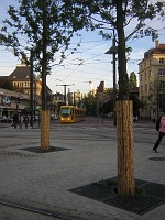 DSCN7382