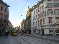 DSCN7391