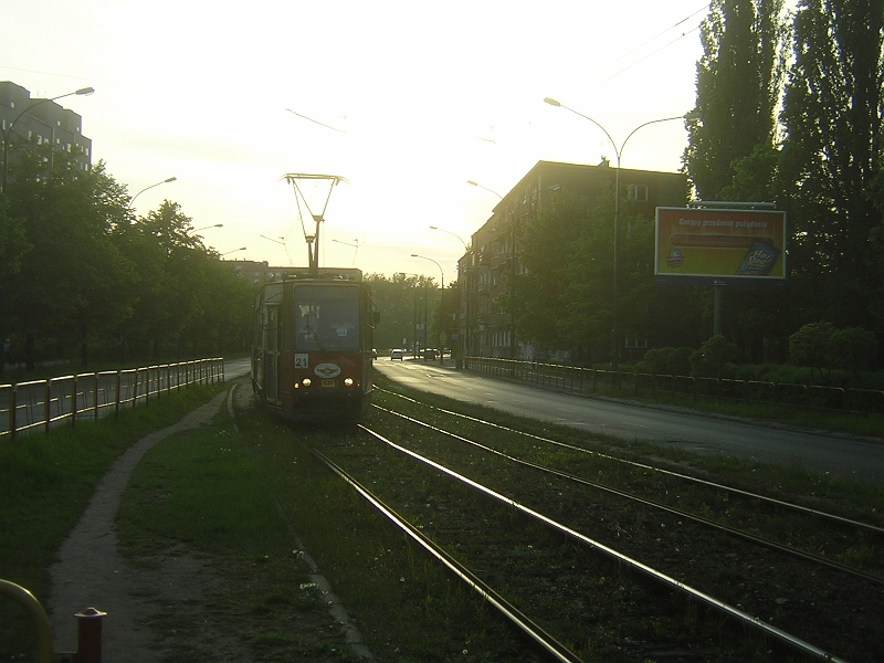 DSCN5331