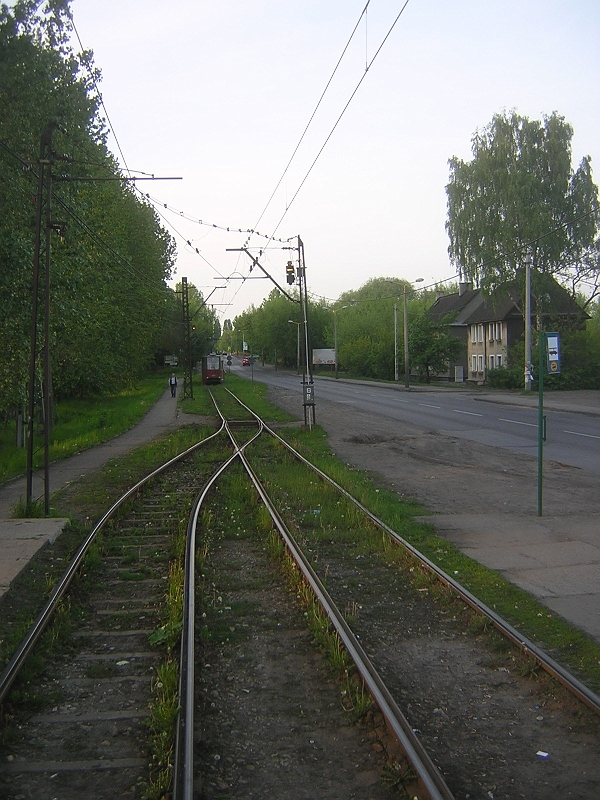 DSCN5343