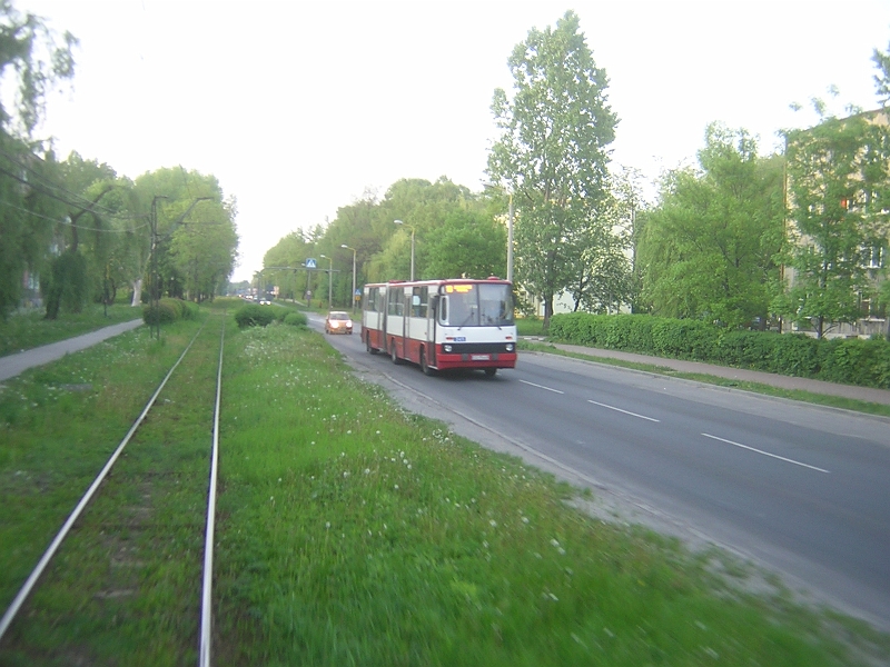 DSCN5345