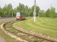 DSCN5302