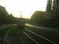 DSCN5331