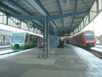 DSCN4623