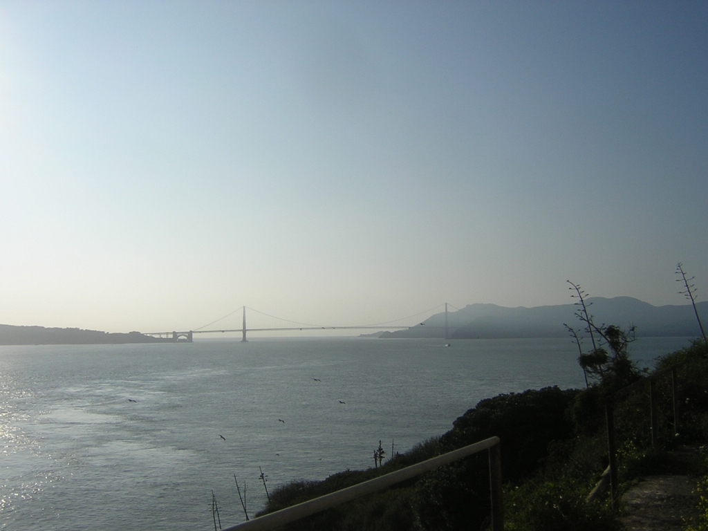 DSCN8252