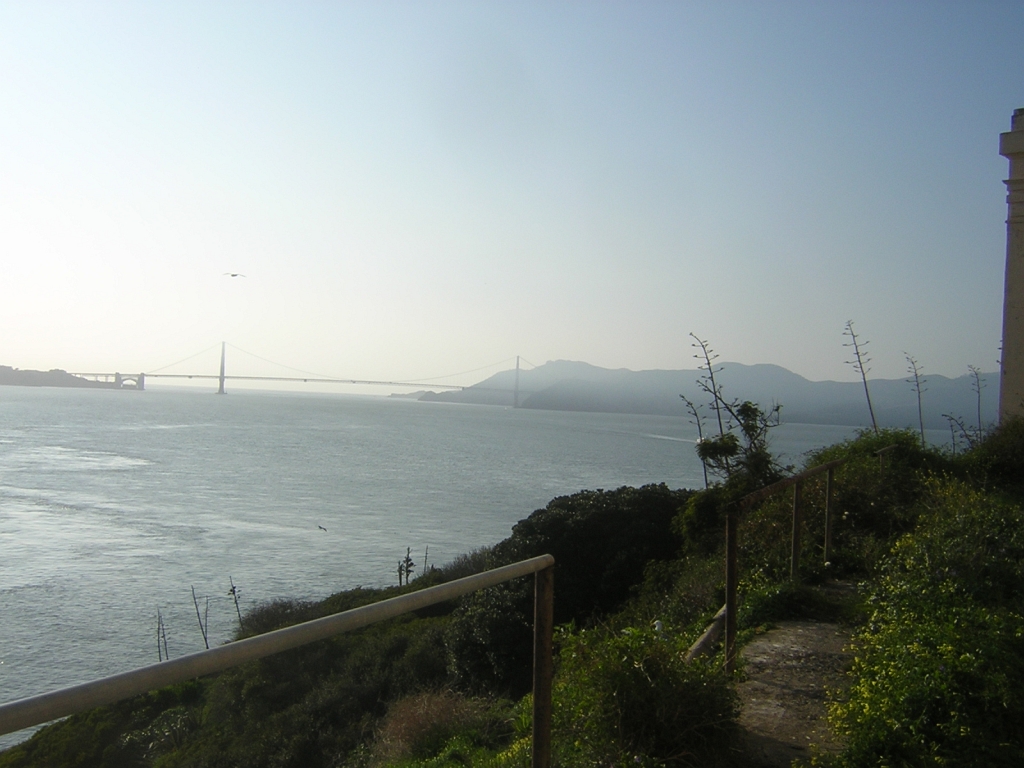 DSCN8254