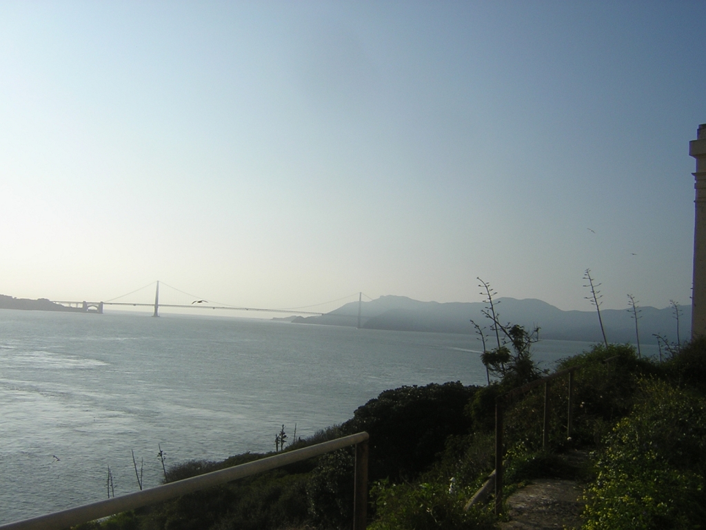 DSCN8255