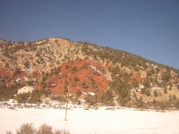 DSCN8080