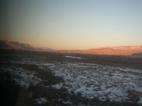 DSCN8102