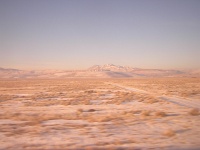 DSCN8109