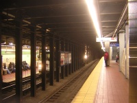 DSCN7781