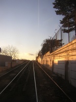 DSCN7783