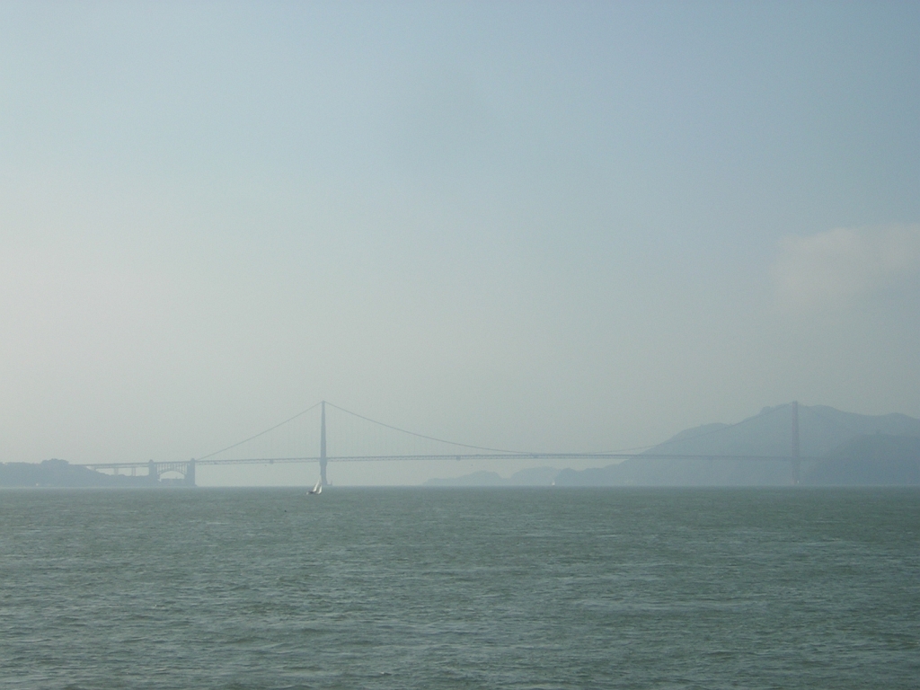 DSCN8238