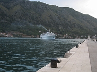 IMG_0516
