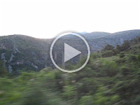 MVI_0703