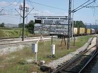 IMG_0919