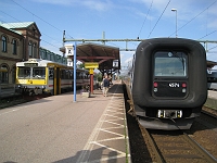 IMG_0557