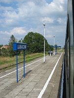 IMG_1608