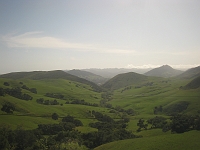IMG_6449