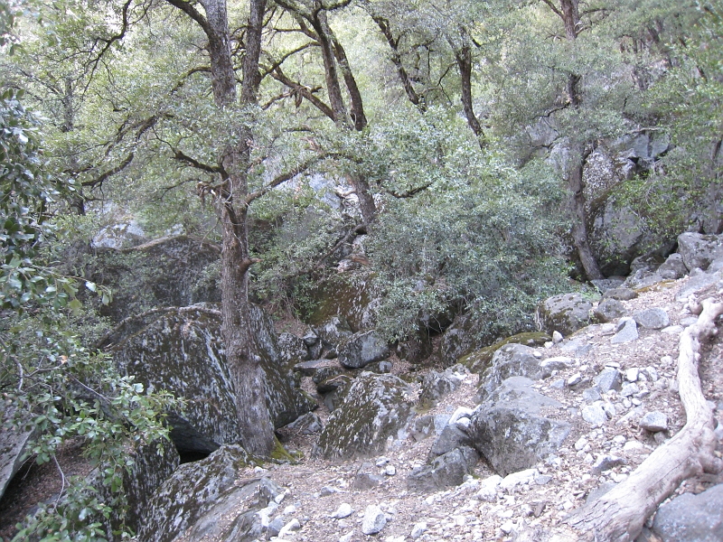 IMG_0022