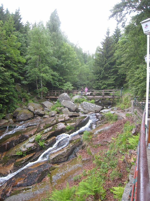 IMG_4066