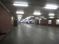 IMG_4209