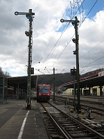 IMG_2942