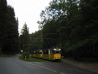 IMG_5602