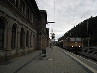 IMG_5631