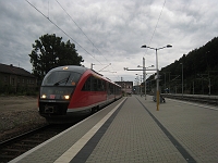 IMG_5633