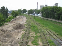 IMG_4531