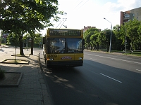IMG_5024