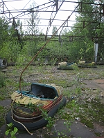 IMG_5310