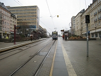 IMG_2413