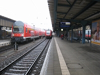 IMG_2420