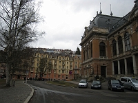 IMG_2502