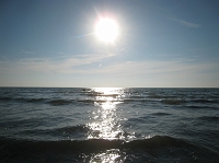 IMG_4878 