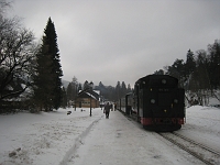 IMG_2469